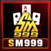 SM999 Game